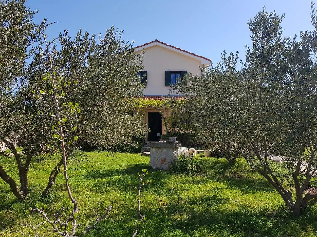 Apartment In Family House With Roses And Olive Tree Garden