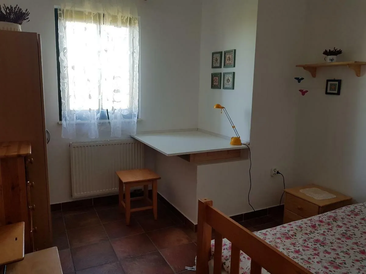 Apartment In Family House With Roses And Olive Tree Garden 0*, Štivan