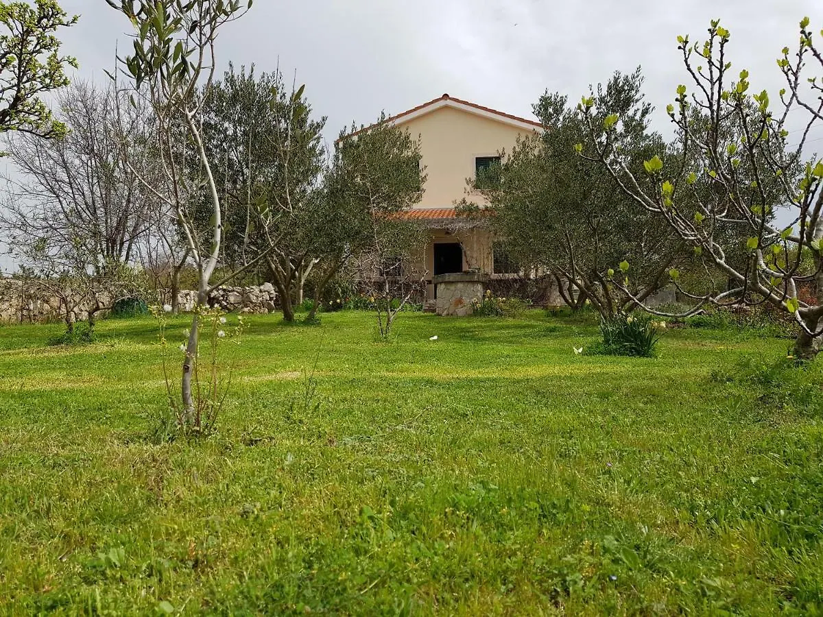 Holiday home Apartment In Family House With Roses And Olive Tree Garden