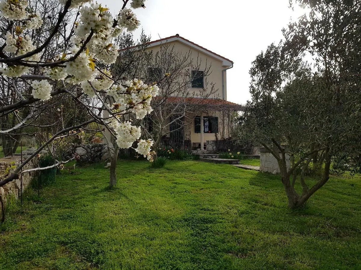 Apartment In Family House With Roses And Olive Tree Garden Kroatien